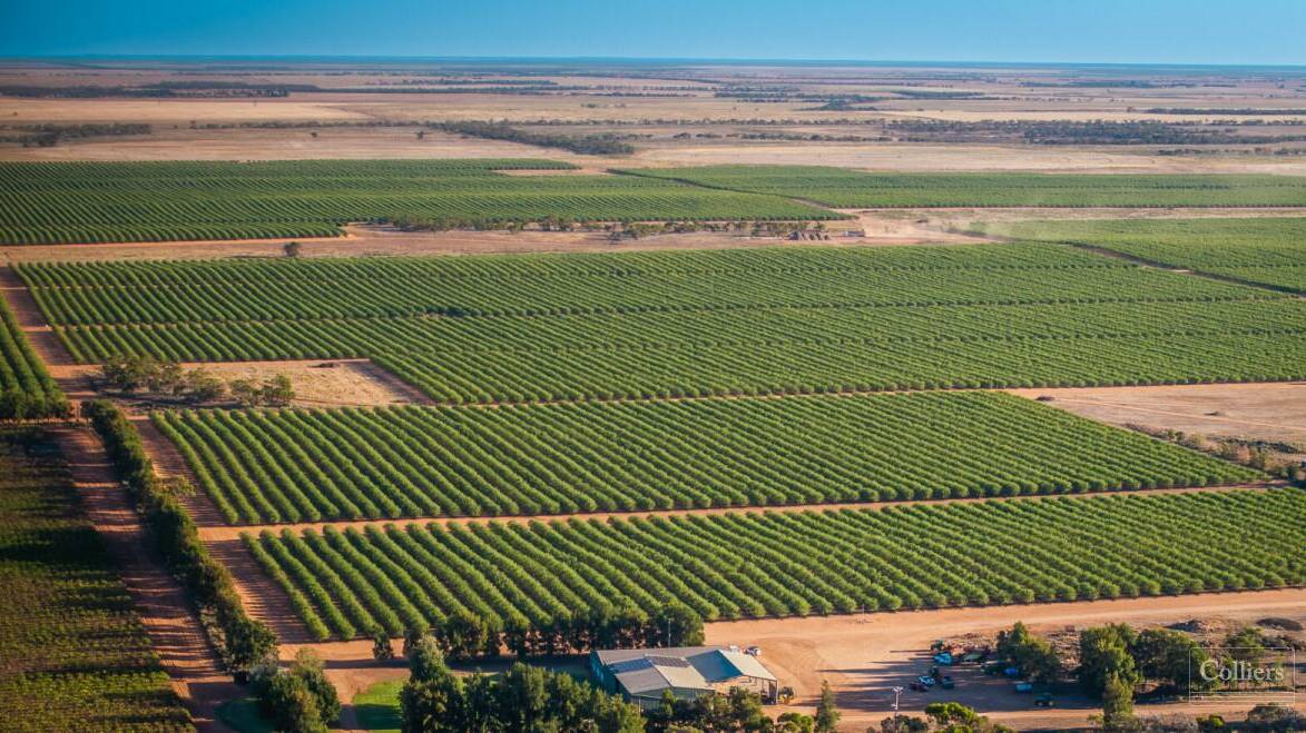 The 2940ha Thurla farm at Mildura has 583ha of almond orchards and 8249 megalitres of water entitlements.