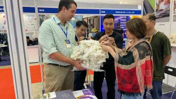 WoolProducers general manager Adam Dawes showing Saigon Tex delegates greasy wool. Picture supplied. 