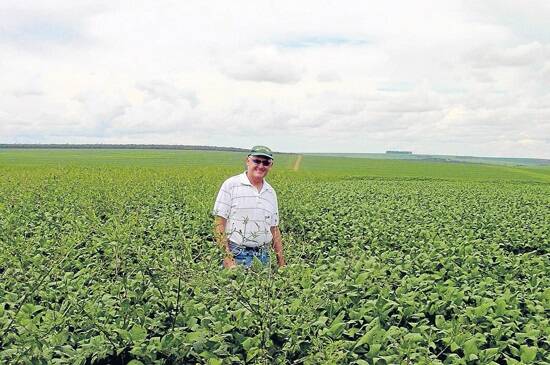 Diversity in crops and chemicals will be different field by field, farm by farm, said Professor Powles (pictured in a Brazilian soybean crop infested with herbicide resistant weeds). 
